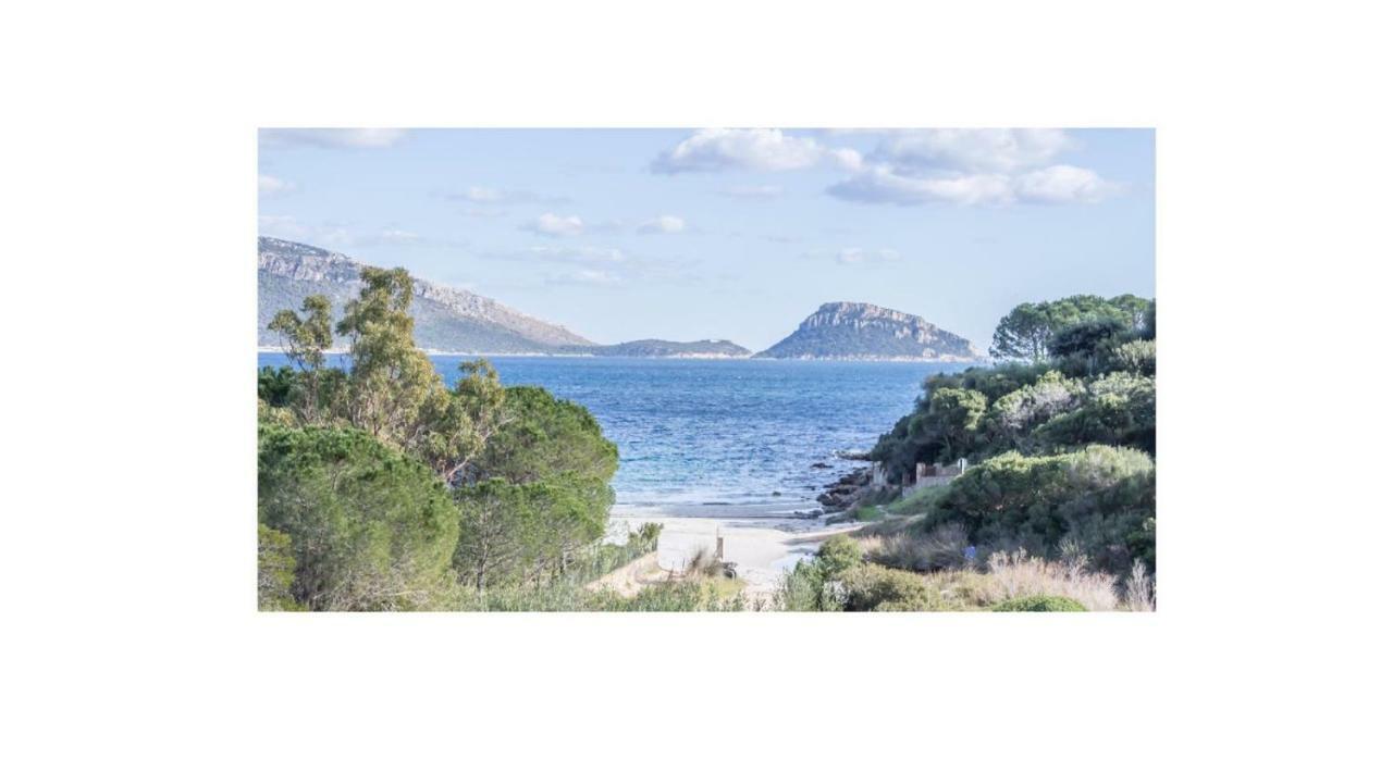 Villa Aranzos Golfo Aranci Εξωτερικό φωτογραφία
