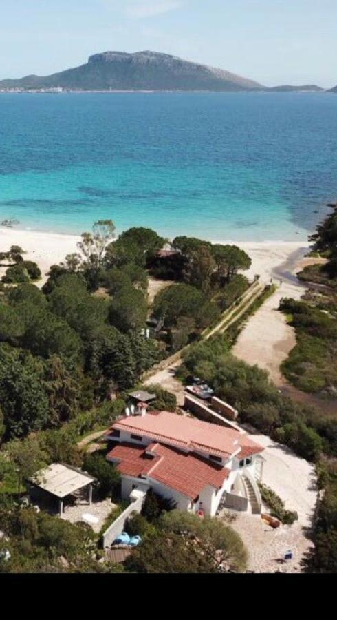 Villa Aranzos Golfo Aranci Εξωτερικό φωτογραφία