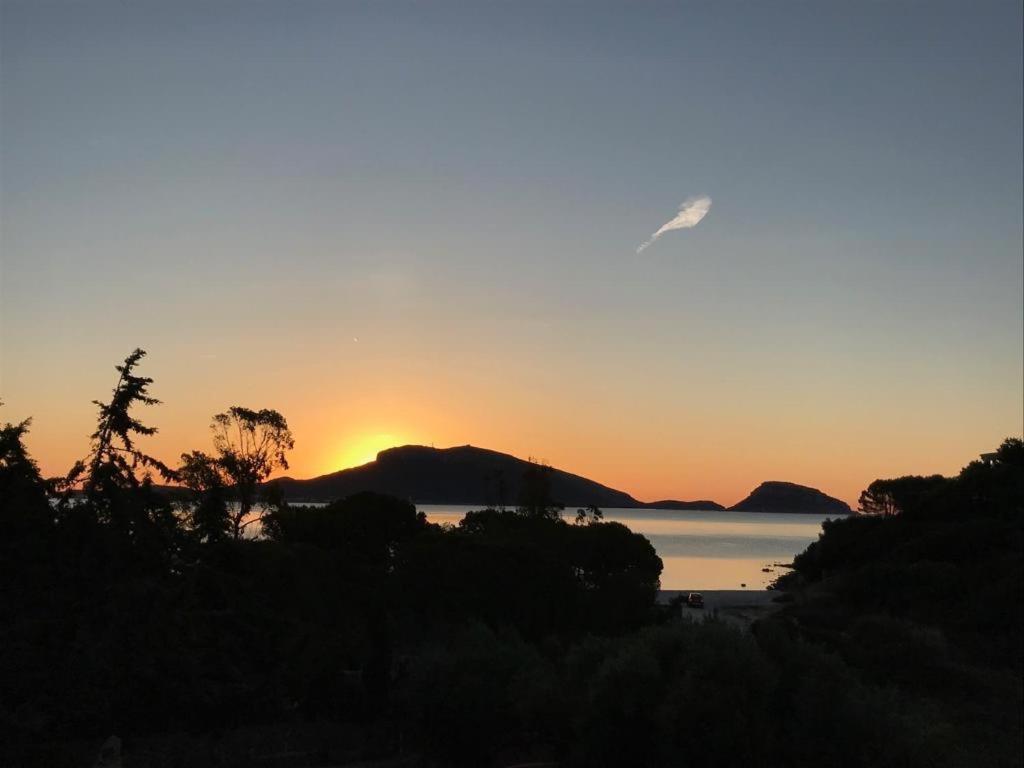 Villa Aranzos Golfo Aranci Εξωτερικό φωτογραφία